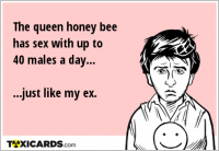 The queen honey bee has sex with up to 40 males a day... ...just like my ex.